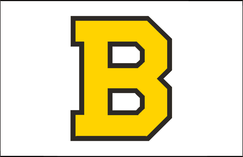 Boston Bruins 1940-1948 Jersey Logo t shirts DIY iron ons